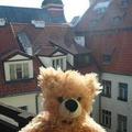Отель Teddy Bear hostel Riga