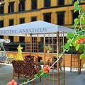 Отель Hotel Amadeus Rome