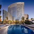 Отель ARIA Resort & Casino at CityCenter Las Vegas