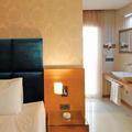 ?¤???‚?????€?°?„???? ???‚?µ?»?? Riva Resatbey Airport Business Guestroom