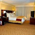 ?¤???‚?????€?°?„???? ???‚?µ?»?? St. Petersburg Marriott Clearwater Guest Room