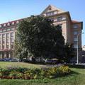 Отель Hotel DAP