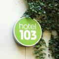 Отель Hotel 103