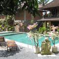 Отель Ubud View Bungalows