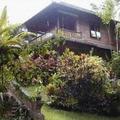 Отель Tiing Gading Bungalows Ubud