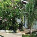 Отель Bed & Breakfast Casaejido Quintana Roo