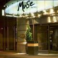 Отель The Muse New York, a Kimpton Hotel