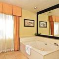 Отель Quality Inn & Suites - Hotel 250 Convention Center