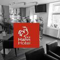 Отель Hotel Hahn