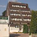 Отель Hotel Panda