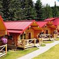 Отель Pocahontas Cabins