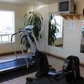 Отель Comfort Inn Lethbridge