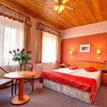 Отель Bily Lev Hotel Prague