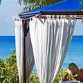 Отель The House Hotel Saint James (Barbados)