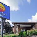 Отель Comfort Inn Ambassador Bridge