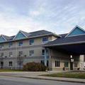 Отель Comfort Suites Downtown Windsor (Ontario)