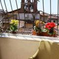 Отель Hotel Perseo