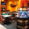 Отель The Hotel Captain Cook