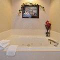 Отель Comfort Suites Daphne