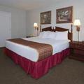 Отель BEST WESTERN Dothan Inn & Suites