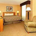 Отель Comfort Inn & Suites Downtown Little Rock