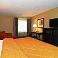 Отель Comfort Inn Pine Bluff