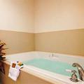 Отель Cortona Inn & Suites Anaheim Resort