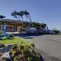 Отель Cambria Shores Inn