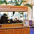 Отель Coronado Beach Resort