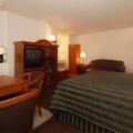 Отель Quality Inn & Suites Redwood Coast