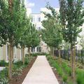 Отель Oakwood at the Courtyards