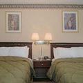Отель Comfort Inn Escondido