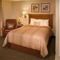 Отель Candlewood Suites Orange County Irvine Spectrum