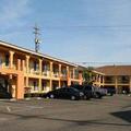 Отель Quality Inn Lodi (California)