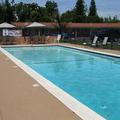 Отель Tri-Valley Inn & Suites