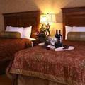 Отель Embassy Suites Santa Ana - Orange County Airport North