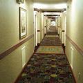 Отель Best Western Plus University Inn Wilmington