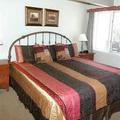 Отель Chateau Roaring Fork Condominium Aspen