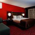 Отель Holiday Inn Colorado Springs (Airport)