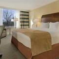 Отель Hilton Stamford Hotel & Executive Meeting Center