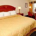Отель Comfort Inn Bradenton