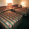 Отель Golden Link Motel