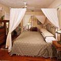 Отель Mansion House Bed & Breakfast Saint Petersburg