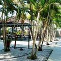 Отель Sarasota Suites