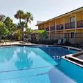 Отель Howard Johnson Express Inn - Tampa North/Busch Gardens