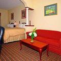 Отель Comfort Suites Historic District