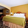 Отель Holiday Inn Express Stone Mountain