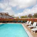 Отель Super 8 Motel North Dallas Addison (Texas)