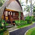 Отель Alam Nusa Bungalow Huts & Spa