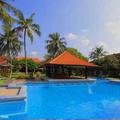 Отель Dhyana Pura Beach Resort